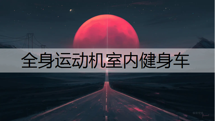 全身运动机室内健身车