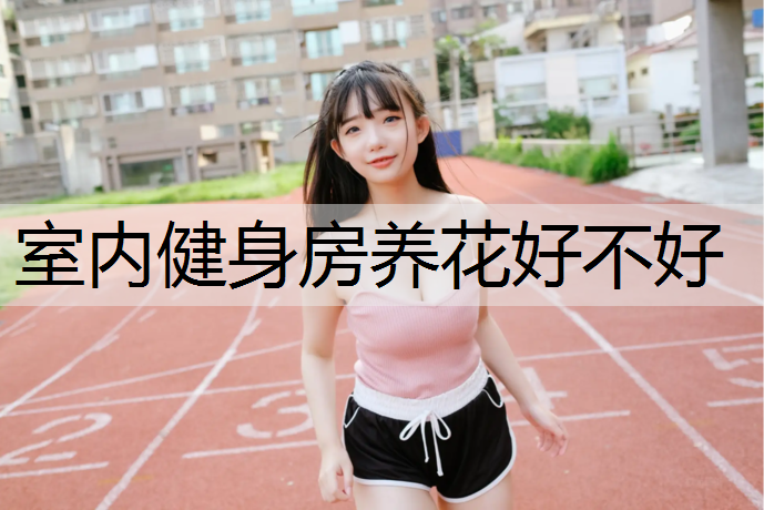 室内健身房养花好不好