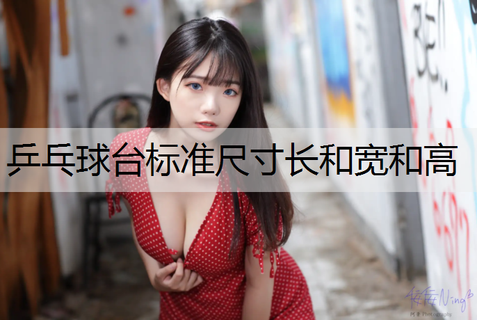 乒乓球台标准尺寸长和宽和高