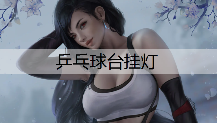 乒乓球台挂灯